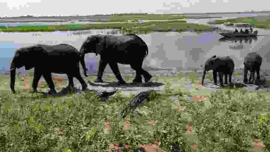Game viewing