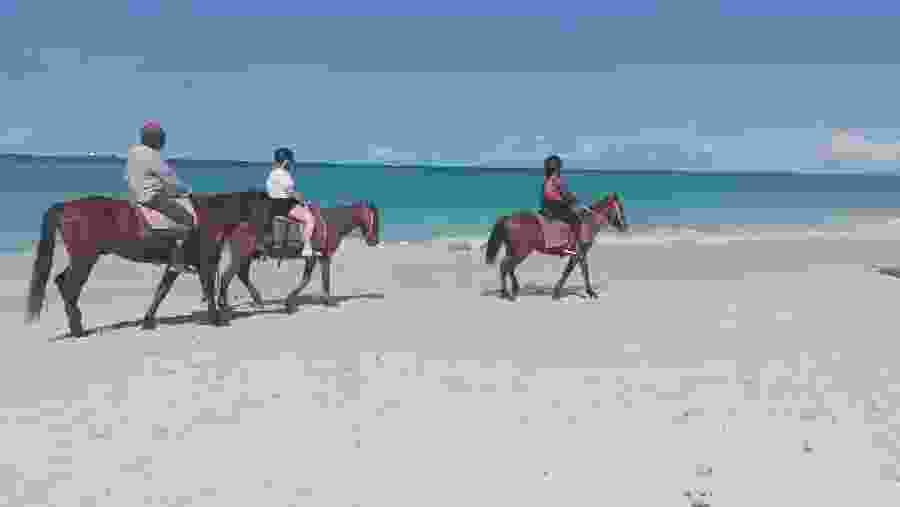 Horse Riding at the Fort James Beach