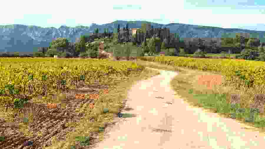 Admire the beautiful landscapes around Sainte Victoire mountain