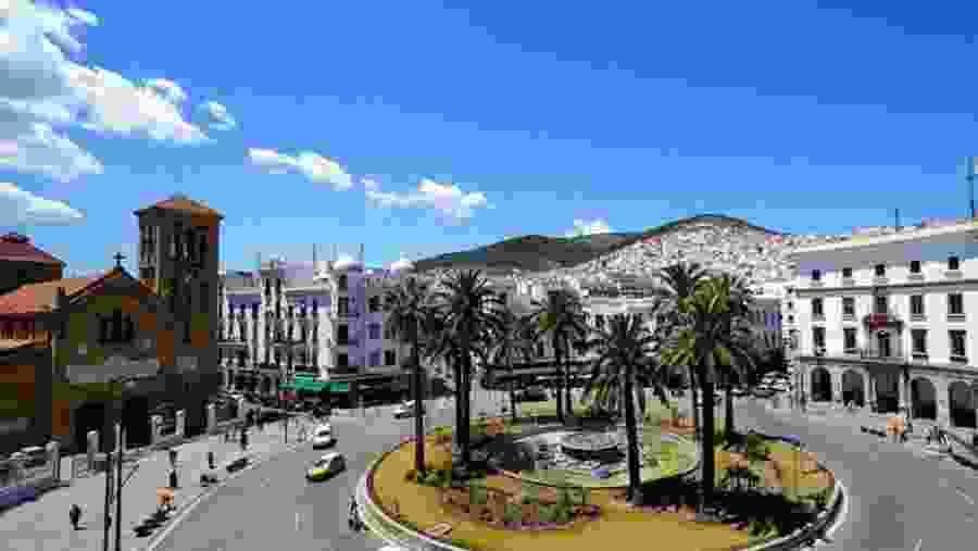 Green Olive Arts Residency