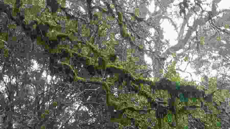 Arusha National Park