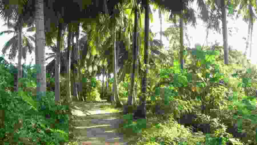 Boat Trips at My Tho