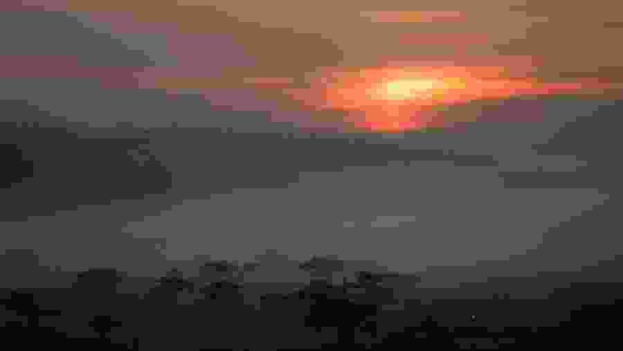 Volcanoes National Park, Rwanda