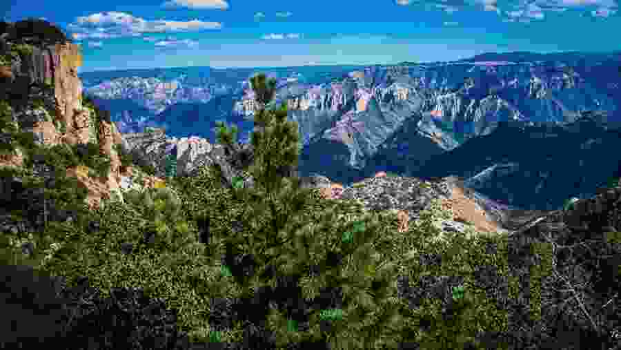 Hike on Sierra Madre trail