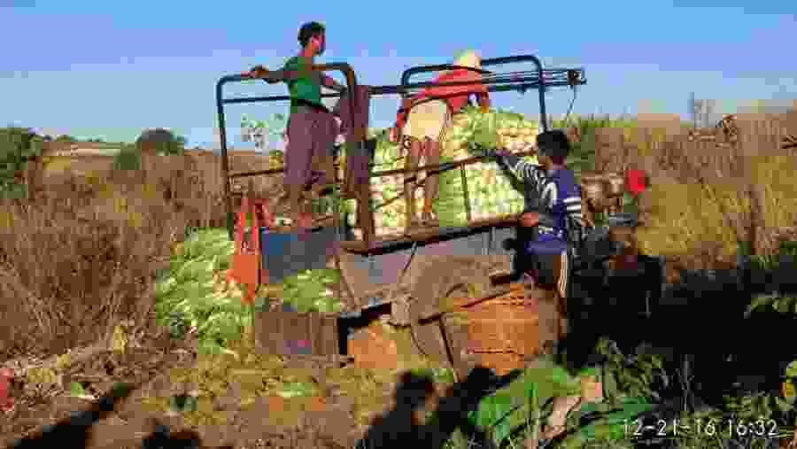 Villagers working in their farms