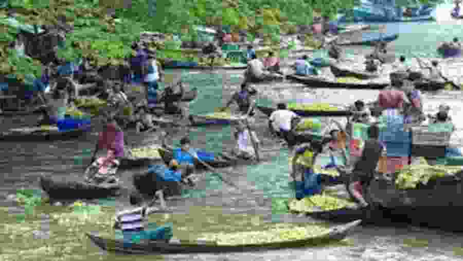 Guava Floating Market