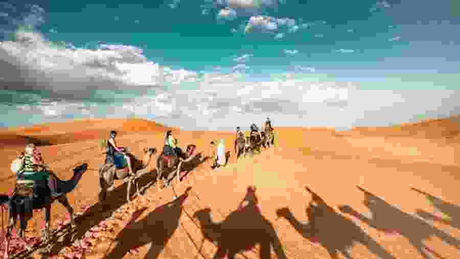 Camel Ride in Sahara Desert