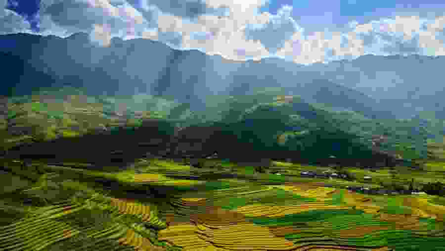 Terraced landscape and mountains