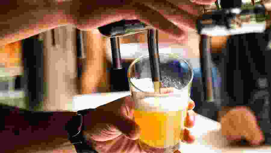 Enjoy beer tasting