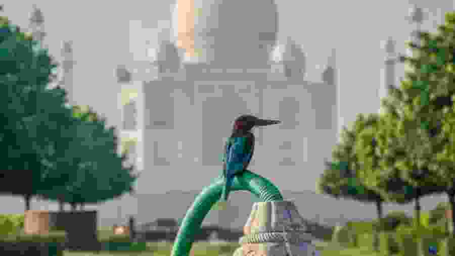 Taj Mahal