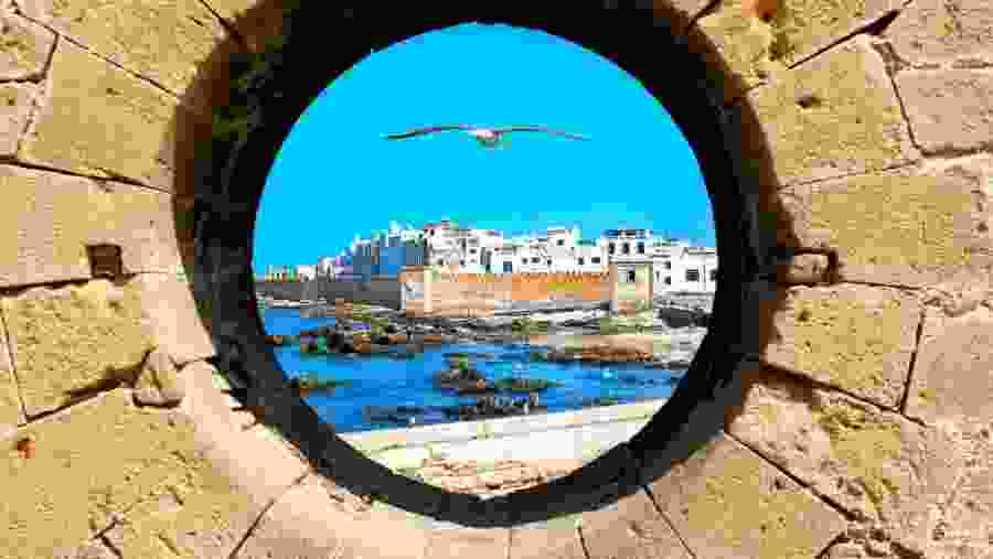 Essaouira Discovery Morocco