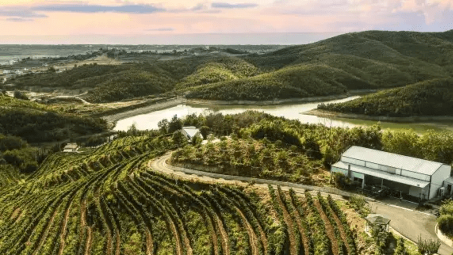 Duka Winery and Vineyard