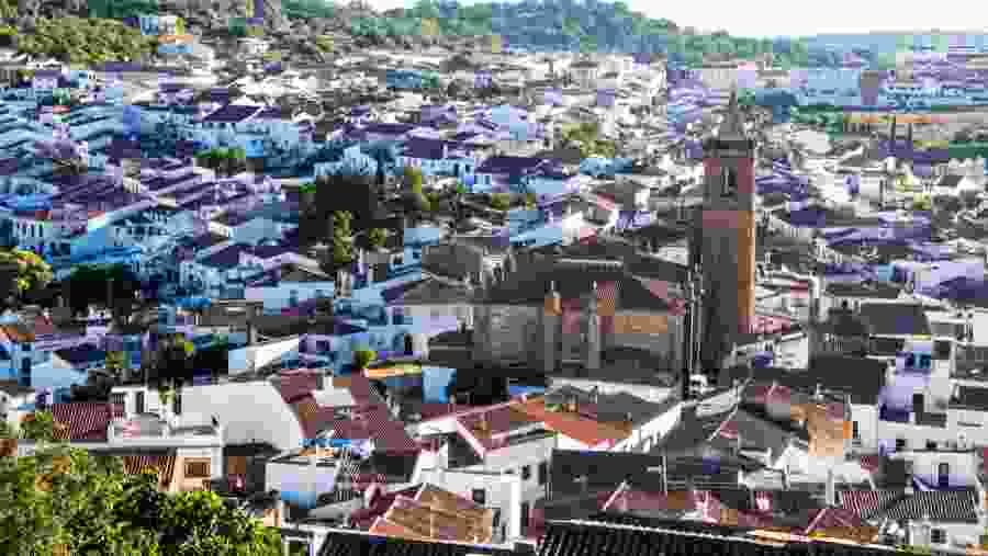 Bird's-eye View of the Village