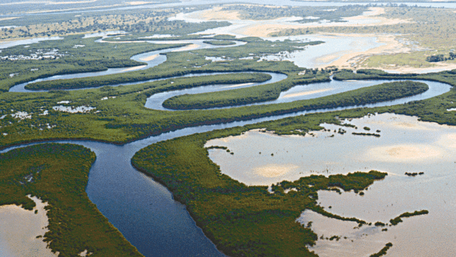 Witness the Saloum River