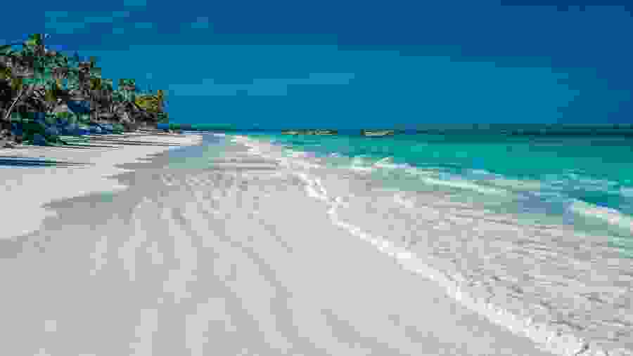 Waves crashing on the shore