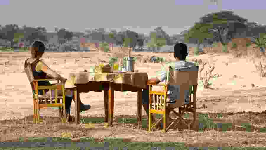 View animals on the bush lunches