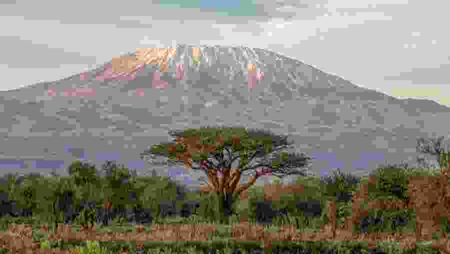 kilimanjaro Trek