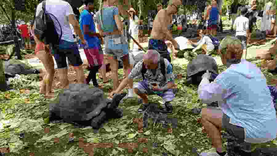 Tortoise House, Prison Island