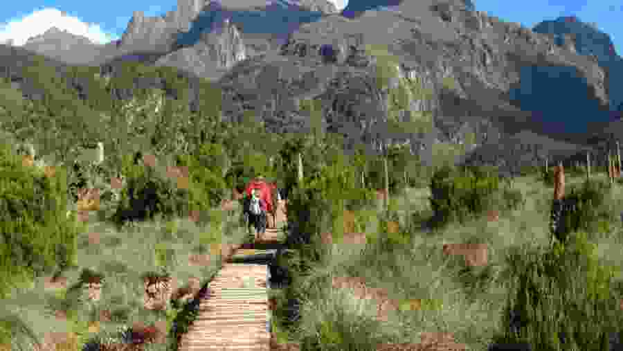 Hike at the scenic Mount Kilimanjaro