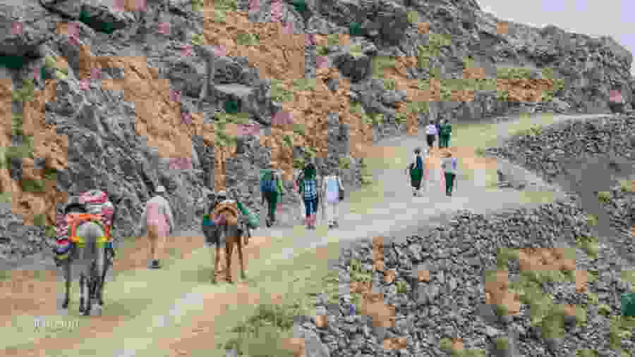 Camel Ride (Atlas Mountains)