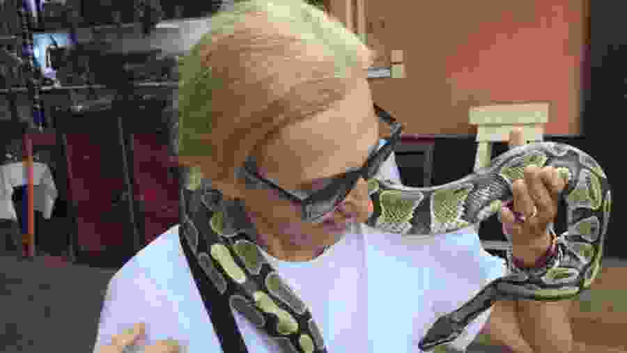 Traveller with a snake