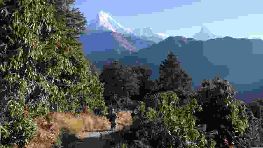 Poon Hill Trek