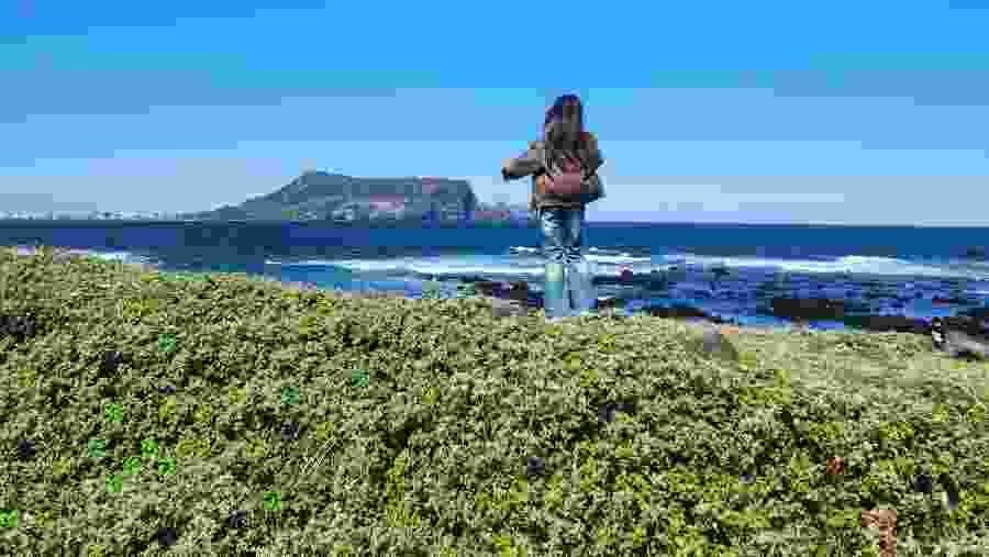 Traveller in Jeju