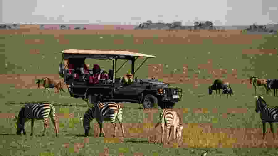 Witness the African wildlife