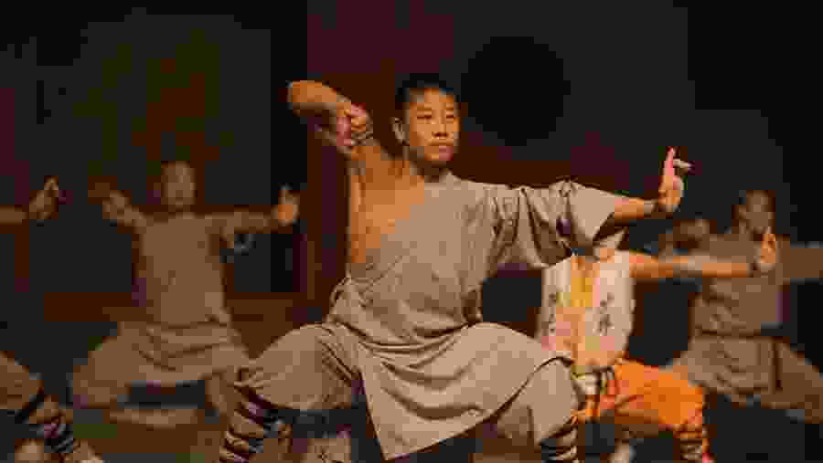 See the Kung Fu Show