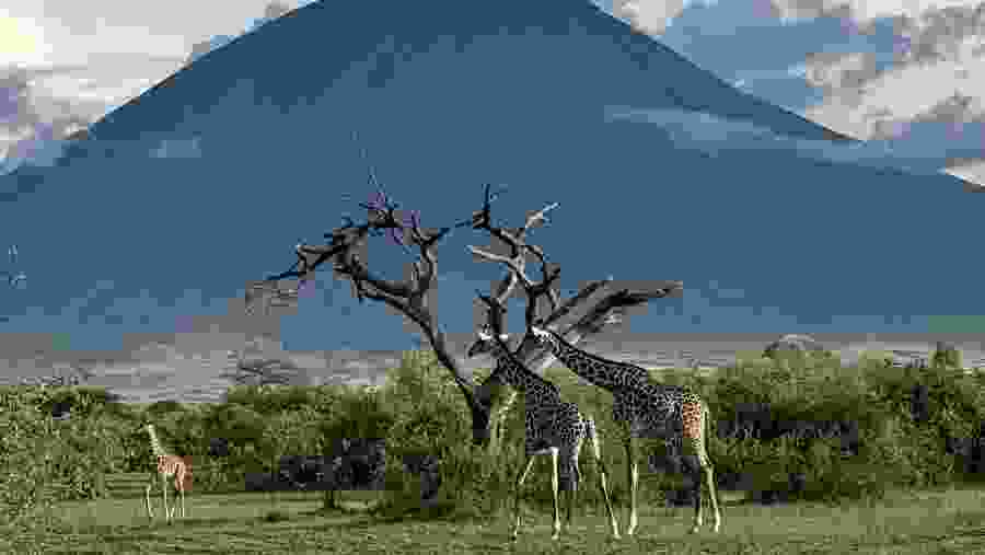 The Ascent of Ol Doinyo Lengai