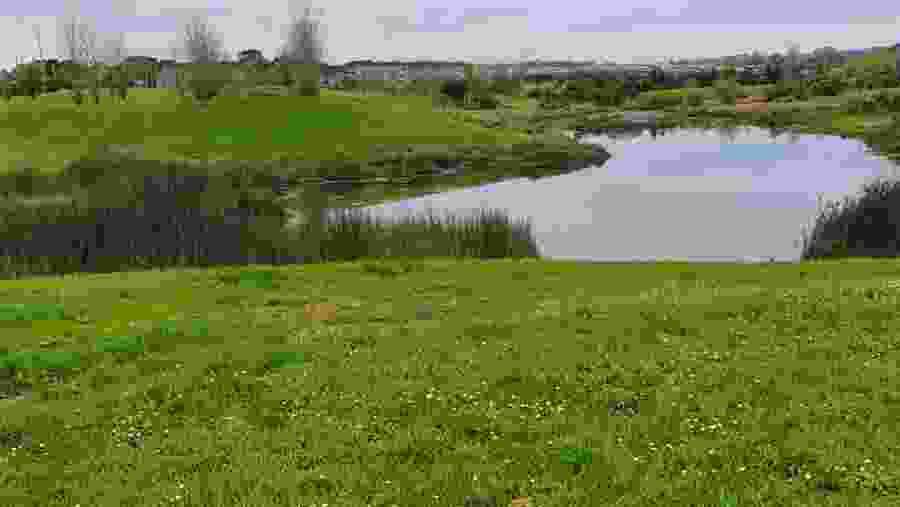 View of Barry Curtis Park