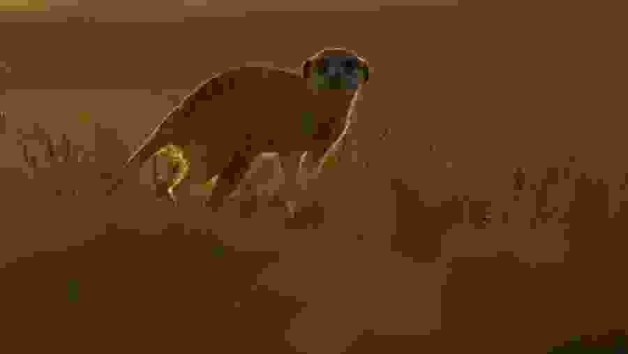 Makgadikgadi