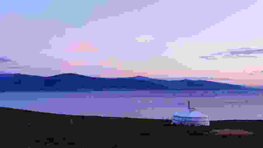 The Scenic View