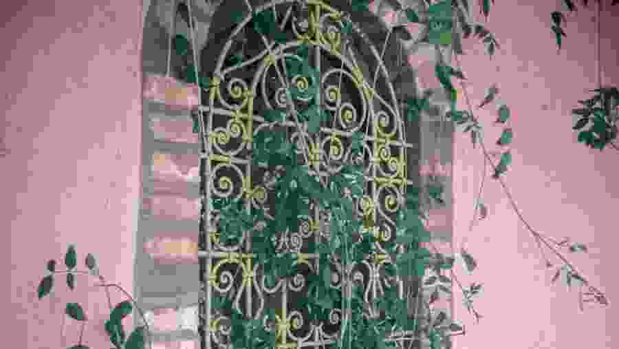 Majorelle Garden