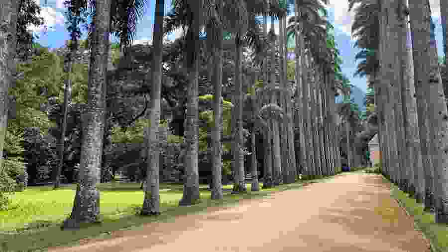 Botanical Garden of Rio de Janeiro