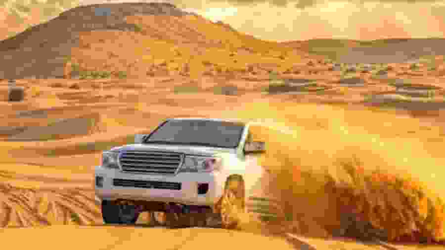 Desert Safari
