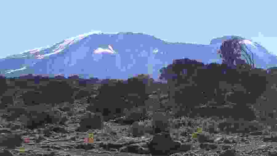 View of Mt. Kilimanjaro