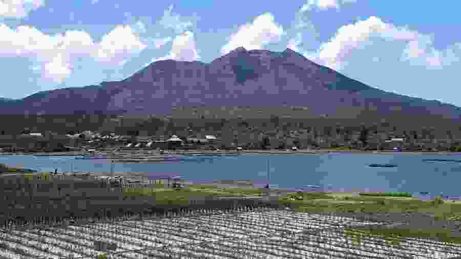 Marvel at the Beautiful Batur Lake & Mt. Batur