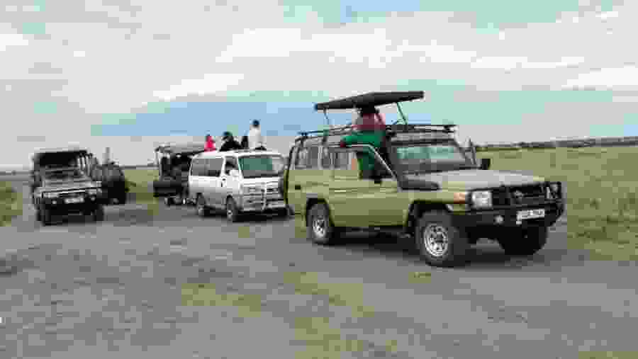 Travelers on their safari