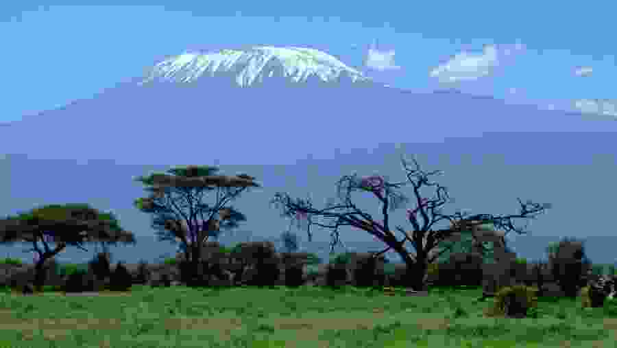 Mount Kilimanjaro