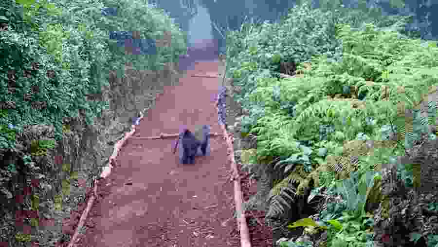 Explore the wildlife