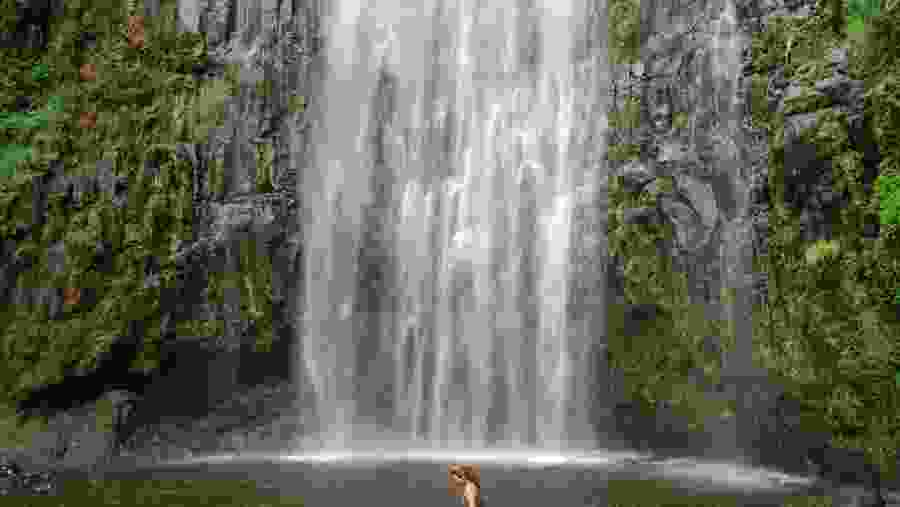 Materuni Waterfalls, Tanzania