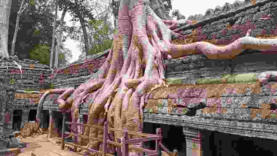 Ta Prohm