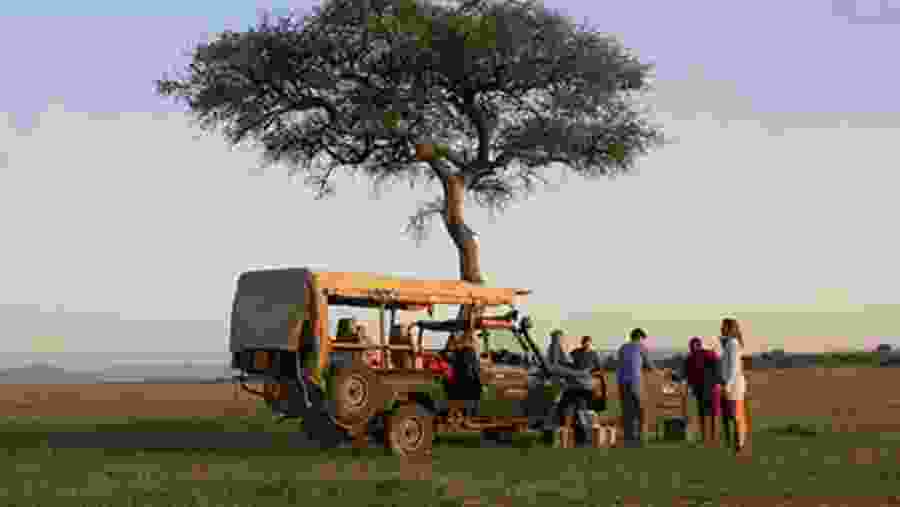 Marvel at a fun jeep safari