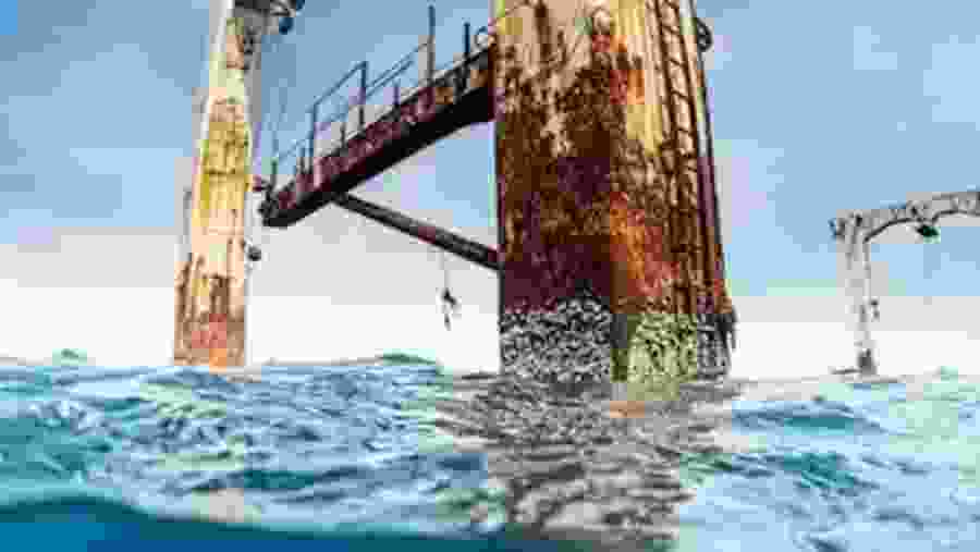 Thermopylae Sierra shipwreck