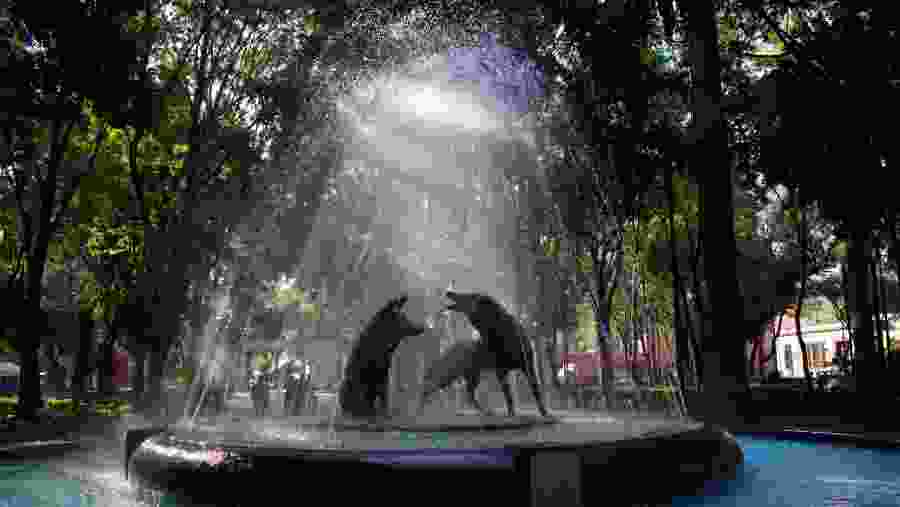 Coyotes' Fountain at Centenario