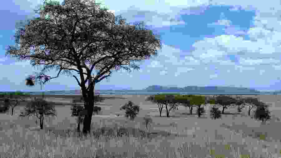 Serengeti National Park