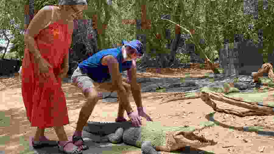 Crocodile Interaction