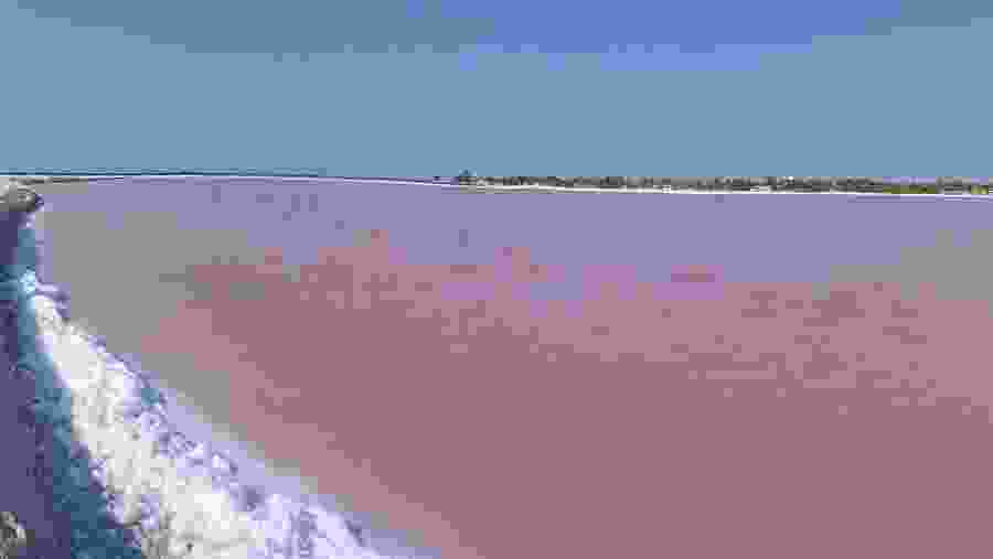 Pink Pools of Rio Lagartos