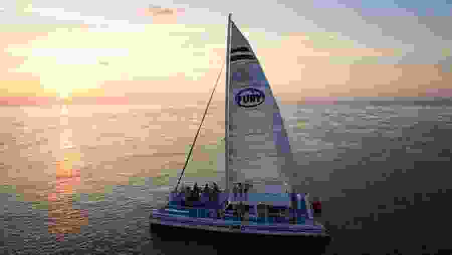 Cruising and Sailing